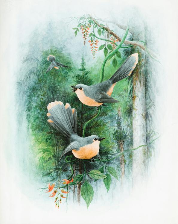 Artwork 6